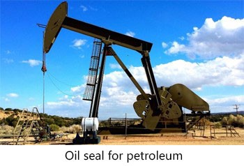 Oil seal for petroleum Oil seal for petroleum