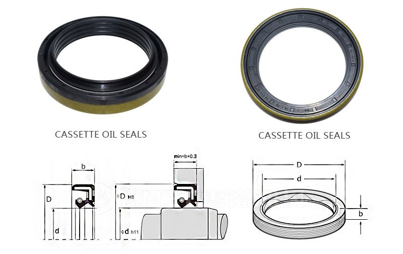 Cassette oil seals Structure