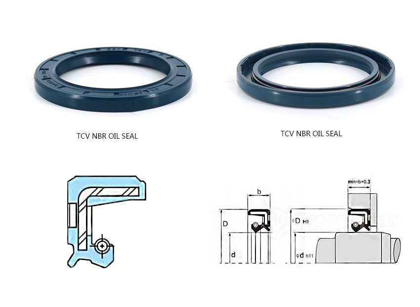 TCV NBR oil seal Structure