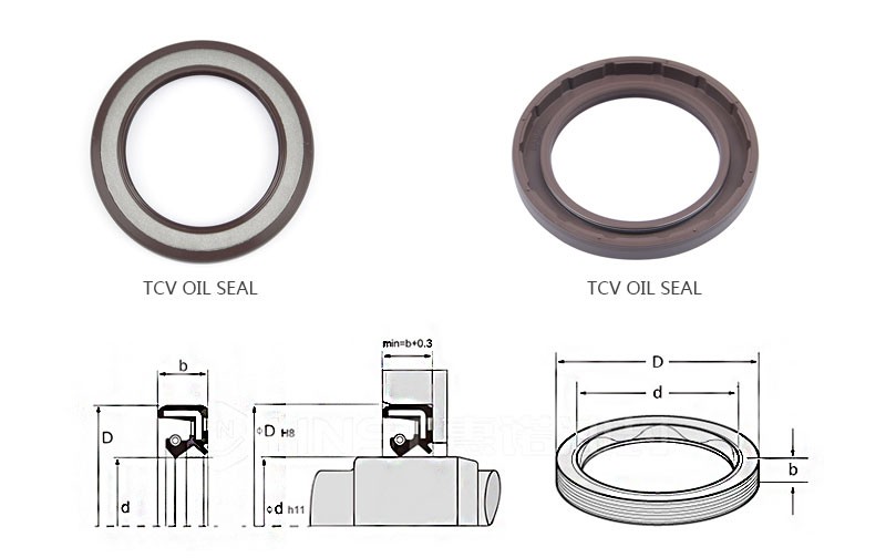 TCV oil seal Structure
