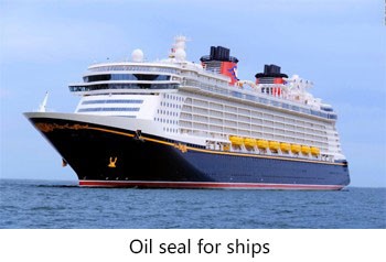 Oil seal for ships