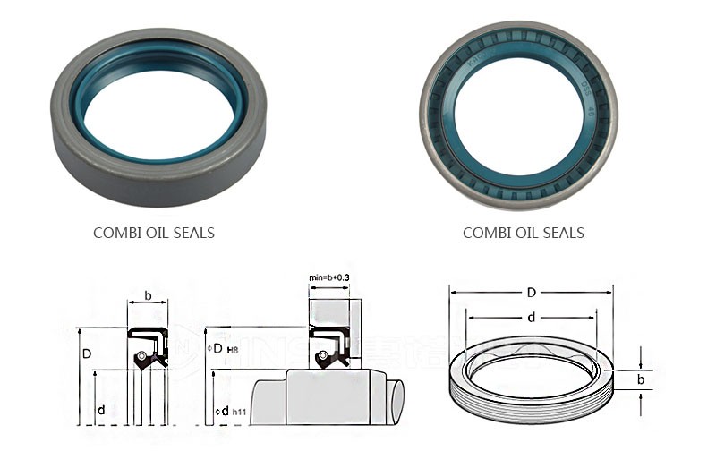 Combi oil seals Structure