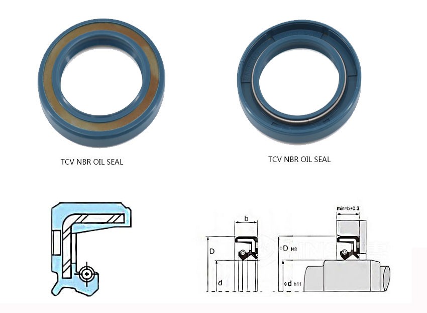 TCV NBR oil seal Structure
