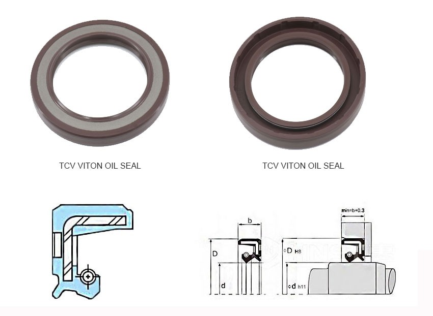 TCV viton oil seal Structure