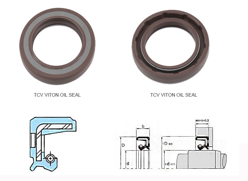 TCV viton oil seal Structure